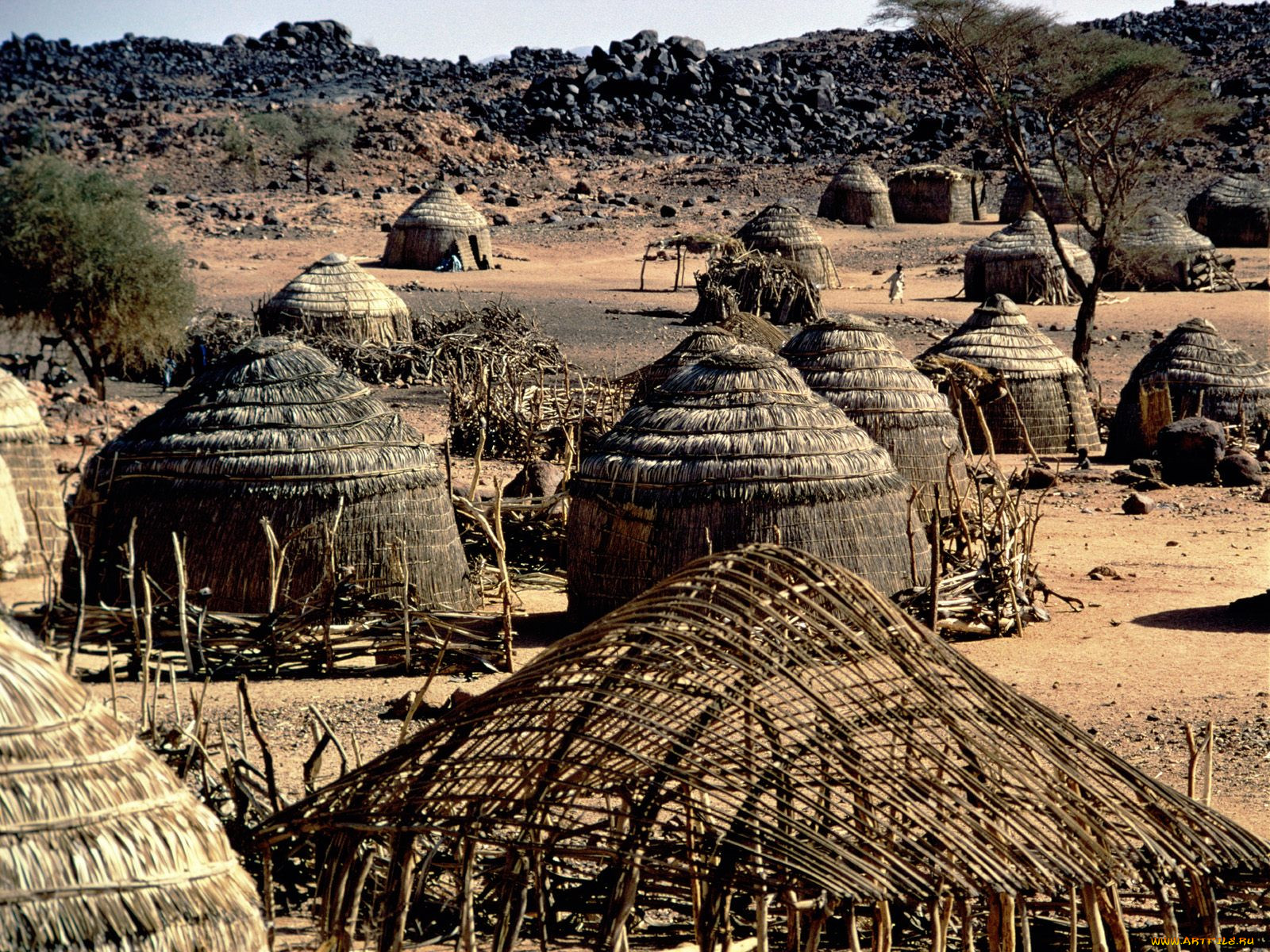 parched, village, huts, niger, africa, , , 